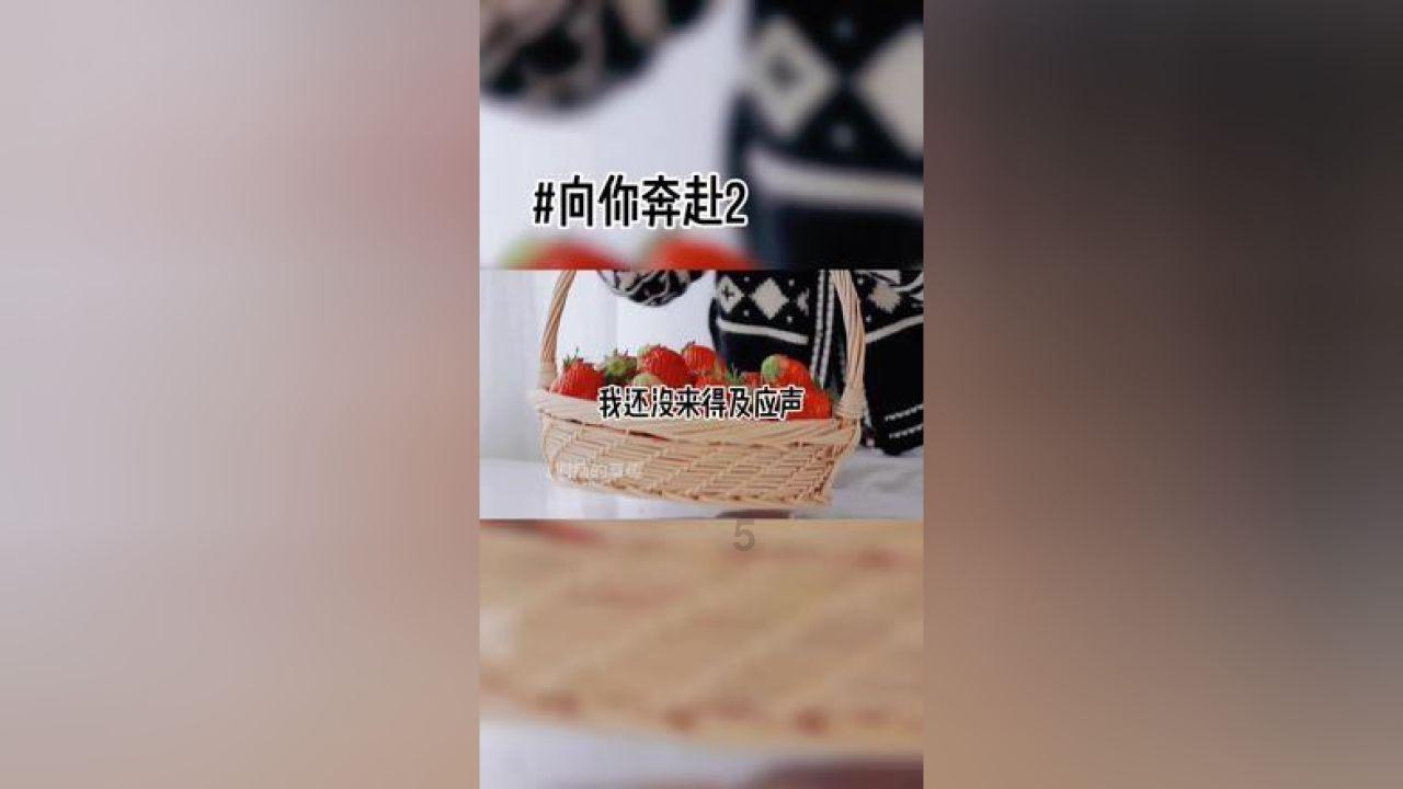 逃离阴森的岛屿