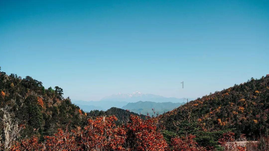 《要久久爱》首播遭狂批！杨紫被嘲像食堂阿姨，与范丞丞无CP感