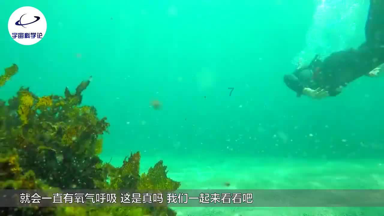 云南镇雄突发山体滑坡，科学避险自救很重要