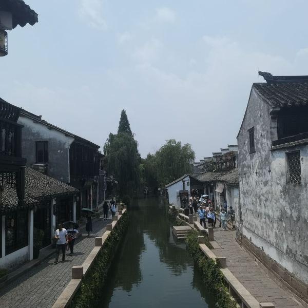 胖小猫救援