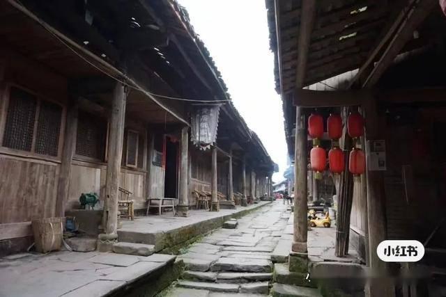 第31届中国(维西)兰花博览会将于2月26日举办